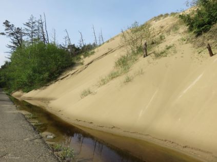 This sand dune looked like it wanted to come in the road