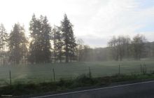 The farmland looked beautiful in the morning mist