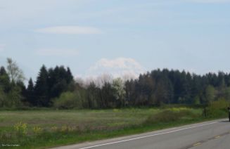 The day was clear and the mountain looked much more impressive than in this photo (Mt St Helens)